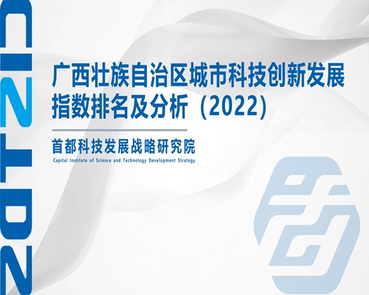 操逼视频官网入口【成果发布】广西壮族自治区城市科技创新发展指数排名及分析（2022）